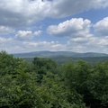 IMG 2533